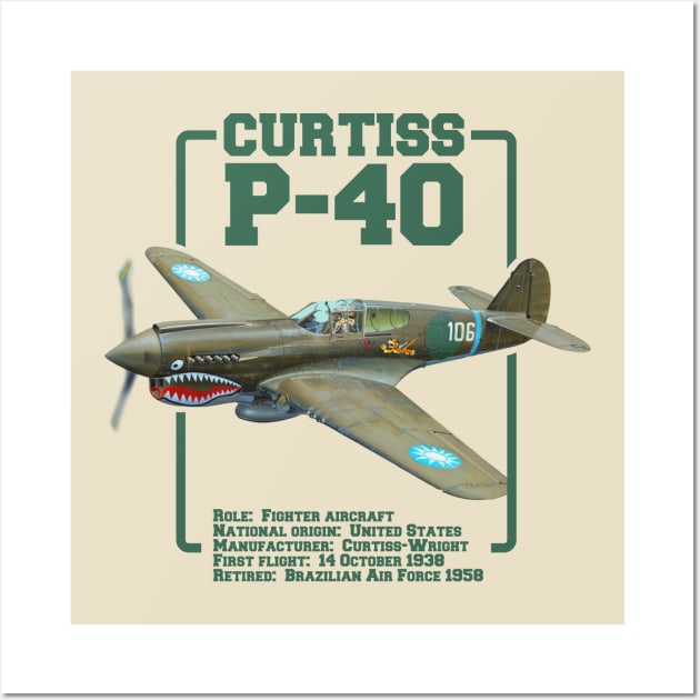 Curtiss P-40 Warhawk | WW2 Plane Wall Art by Distant War